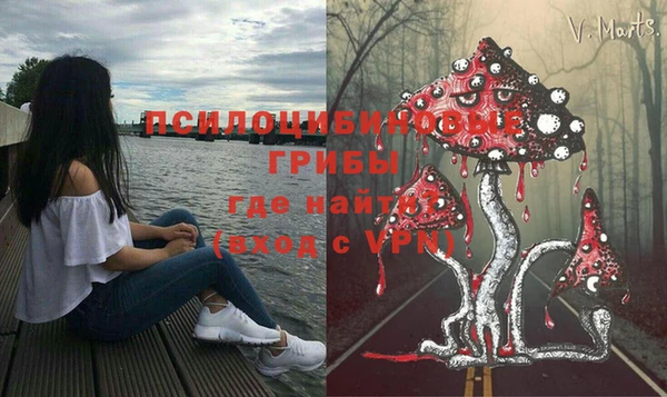 бошки Костерёво