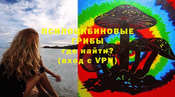 бошки Костерёво