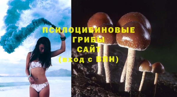 соль курить ск Коряжма