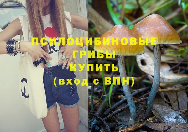 соль курить ск Коряжма